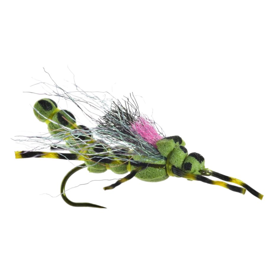 Morningwood Special - Skwala - Size 12