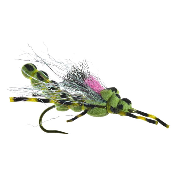 Morningwood Special - Skwala - Size 10