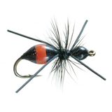 Attract-Ant - Black/Red
