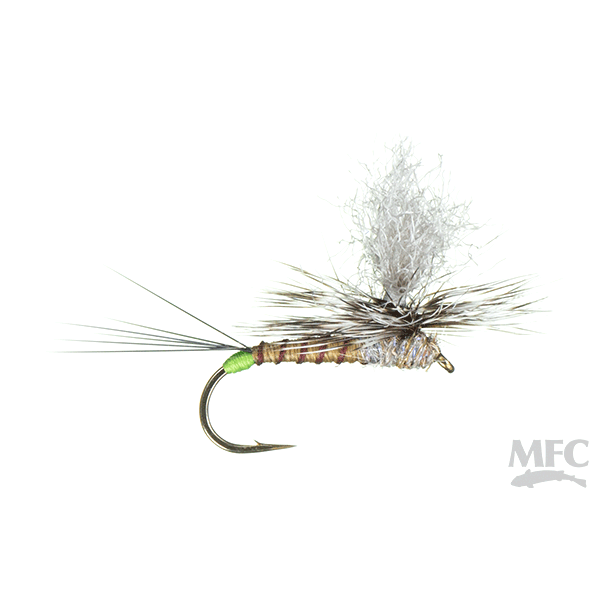 Hot Spot Para-Wulff - Hecuba - Size 12