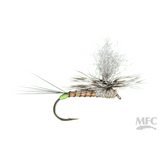 Hot Spot Para-Wulff - Hecuba - Size 12