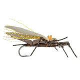 Water Walker - Brown Salmonfly - Size 6