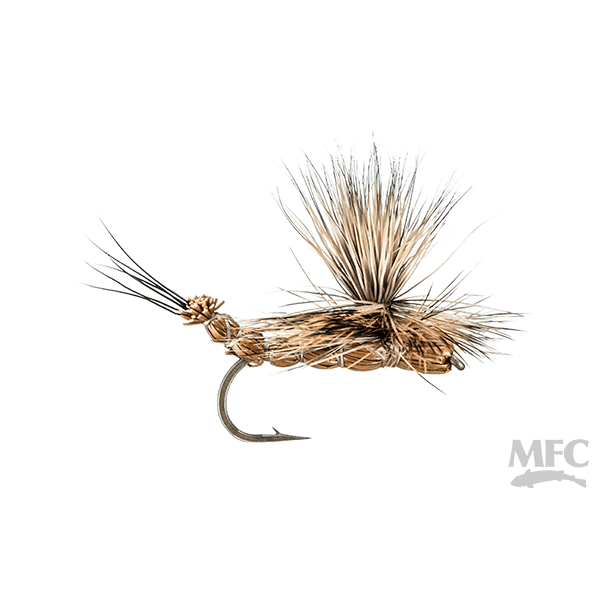 Extended Body Drake - Brown