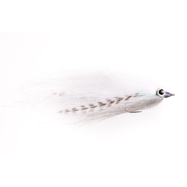 Stay Hungry - Shiner - Size 2