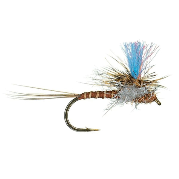 Guide Winna Spinna - Brindle - Size 16