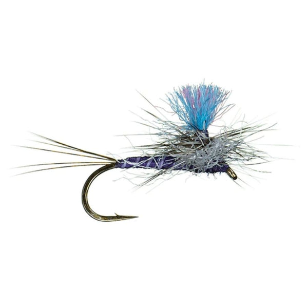 Guide Winna Spinna - Purple - Size 18