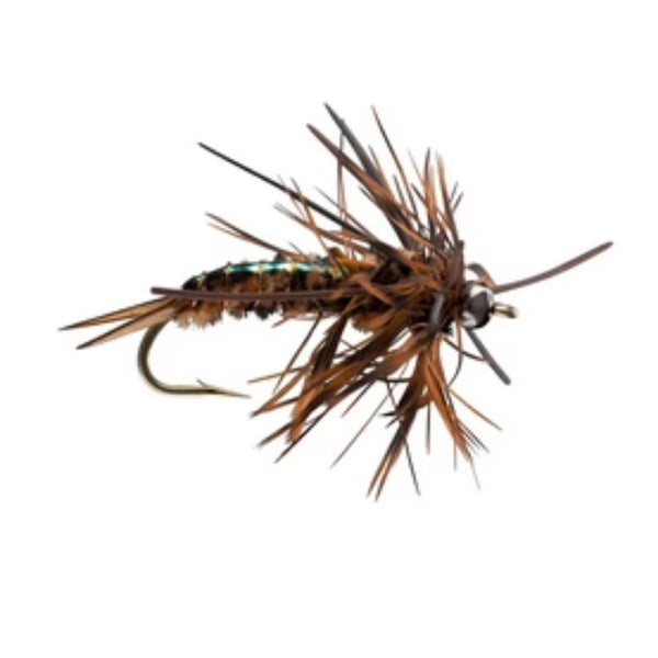 Speculator - Brown - Size 8