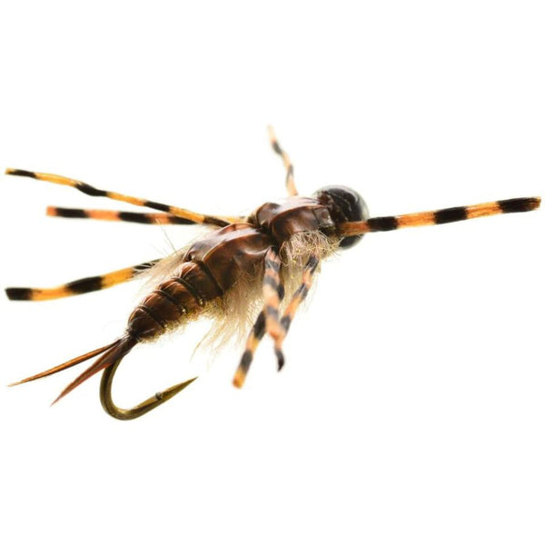 Umpqua Tim's Stone - Light.