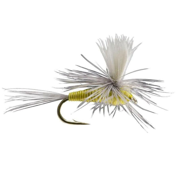 Quill Body Parachute - PMD - Size 16