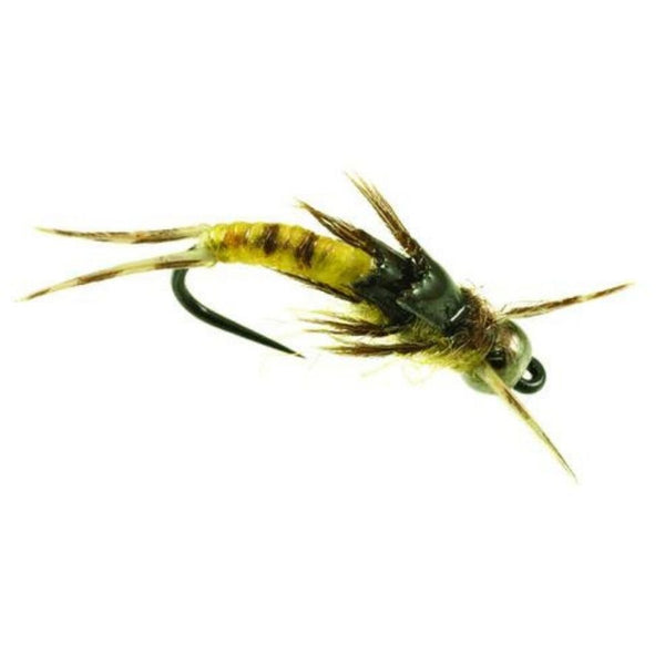 Little Yellow Sloan - Size 14