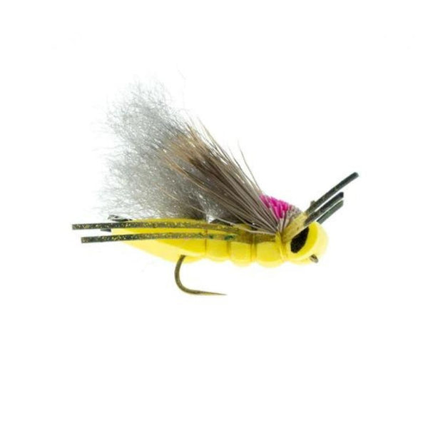 Boy Wonder Hopper Craven - Yellow - Size 8