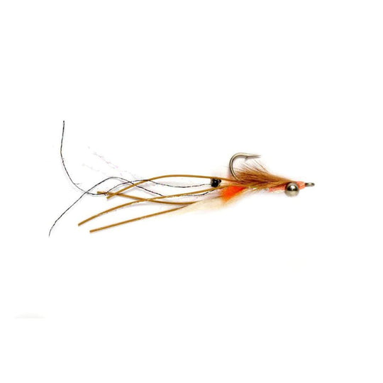 Peterson's Spawning Shrimp