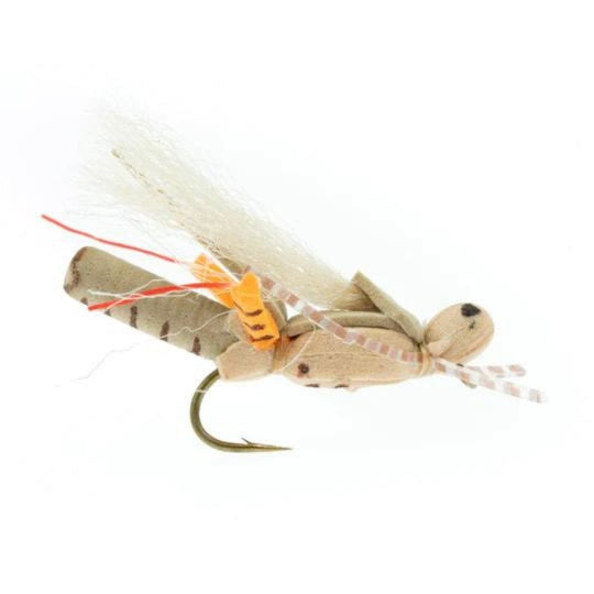 Thunder Grass Hopper