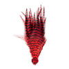 Red/Black