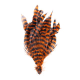 Barred Schlappen