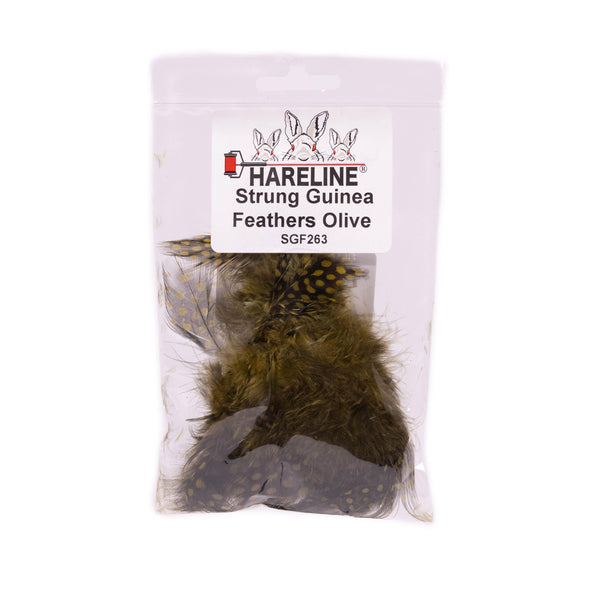 Strung Guinea Feathers