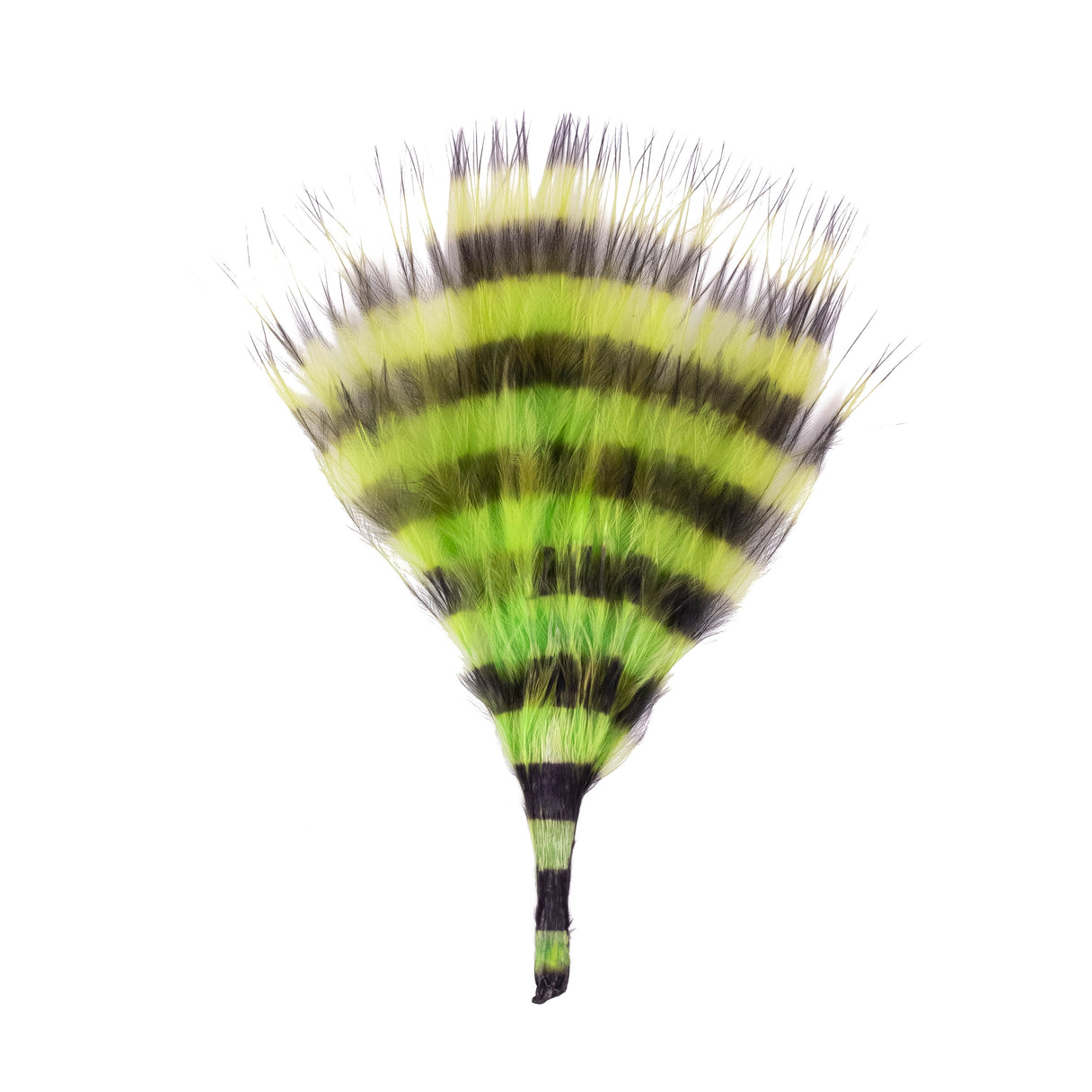 Barred Marabou