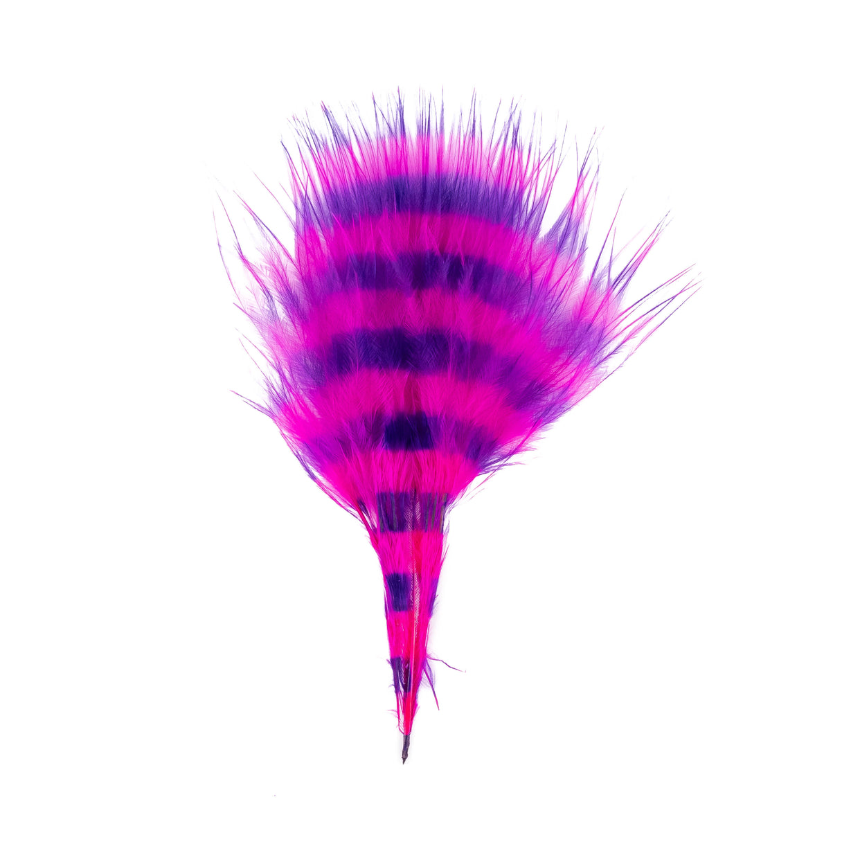 Barred Marabou