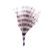 Barred Marabou