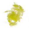 Light Olive