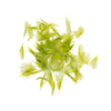 Light Olive