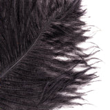 Nature's Spirit Ostrich Plume Large