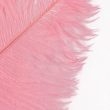 Nature's Spirit Ostrich Plume Large