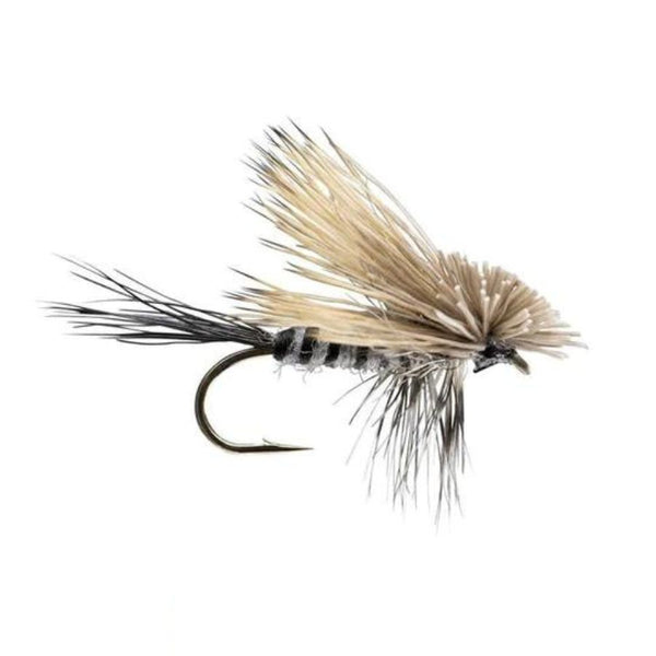 Hairwing Dun