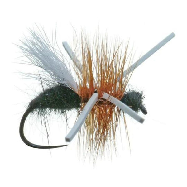 Power Ant - Cinnamon - Size 13