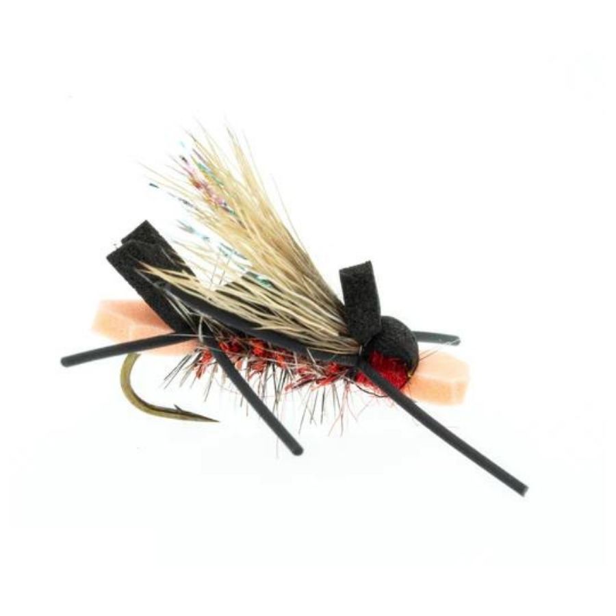 Amy's Ant Red / 10
