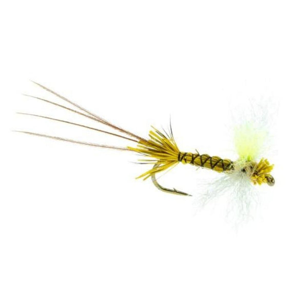 Lighthouse Spinner - Drake - Size 10
