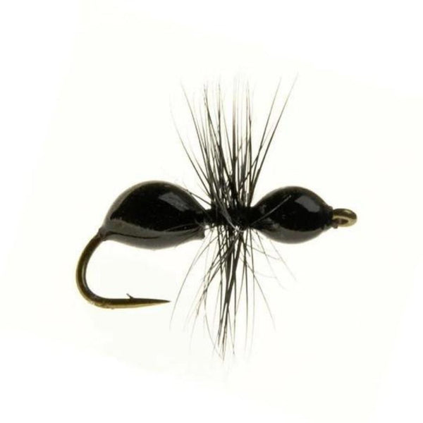 Transparants - Black