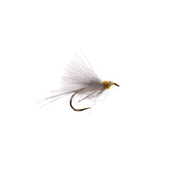 CDC Biot Dun - Flavilinea