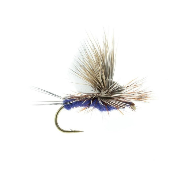 Umpqua Majestic AF - Purple.