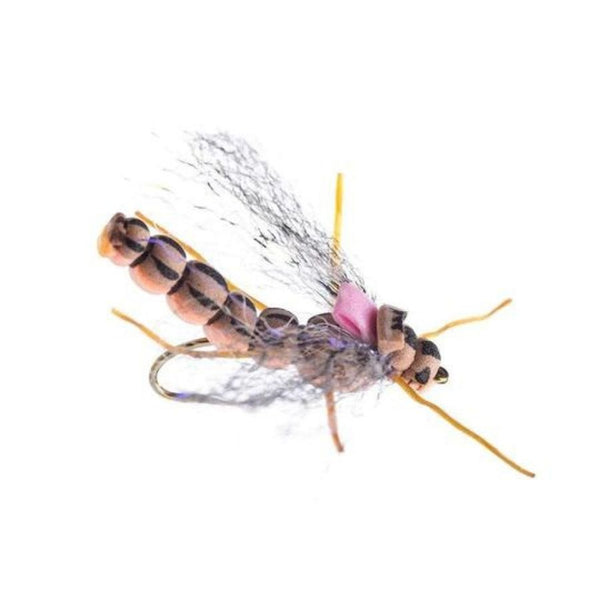 Morningwood Hopper - Peach