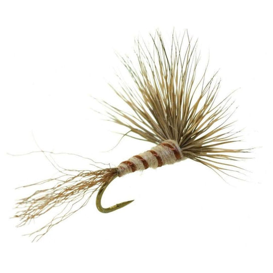 Sparkle Dun - March Brown - Size 14