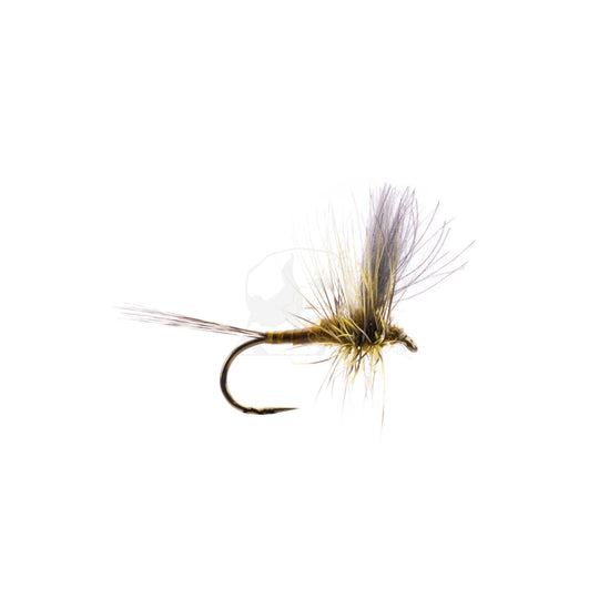 CDC Thorax - Green Drake