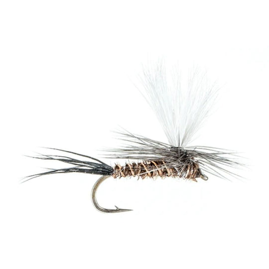 Parachute Pheasant Tail