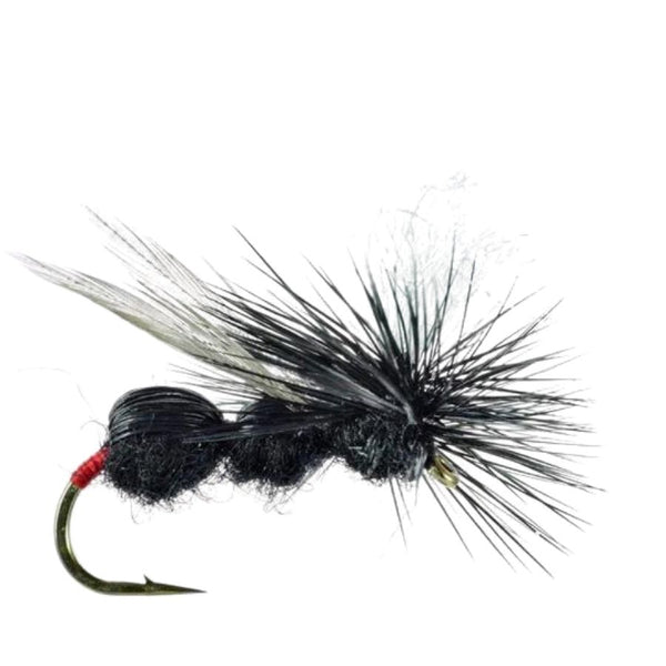 Deer Hair Ant