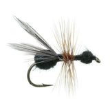 Flying Ant Fly - Black
