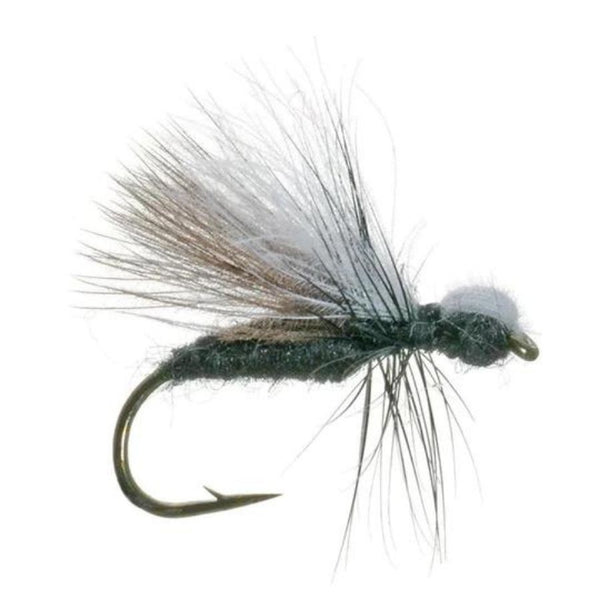 Shimazaki's CDC Ant - Black