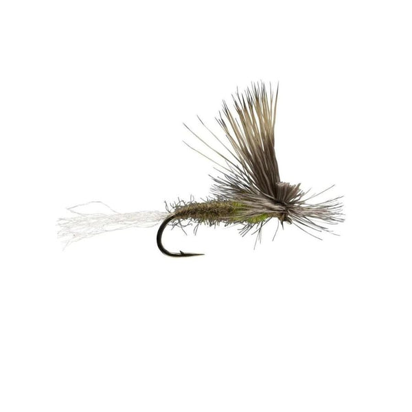 E/C Caddis - Olive