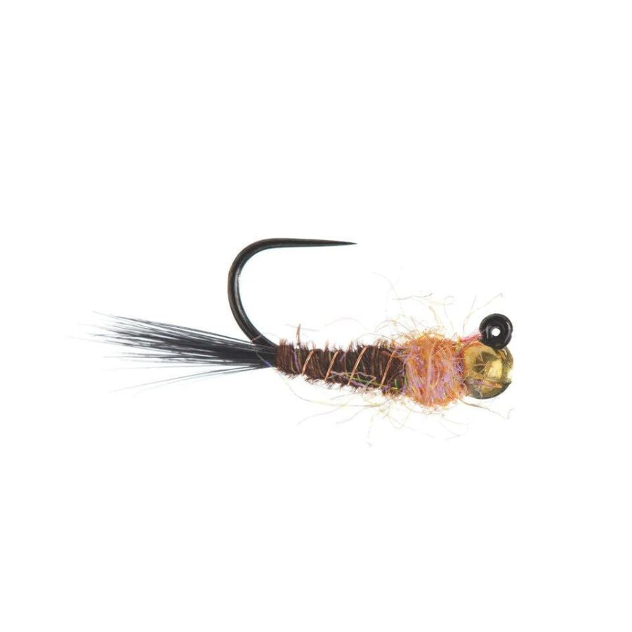 Egan's Frenchie Jig