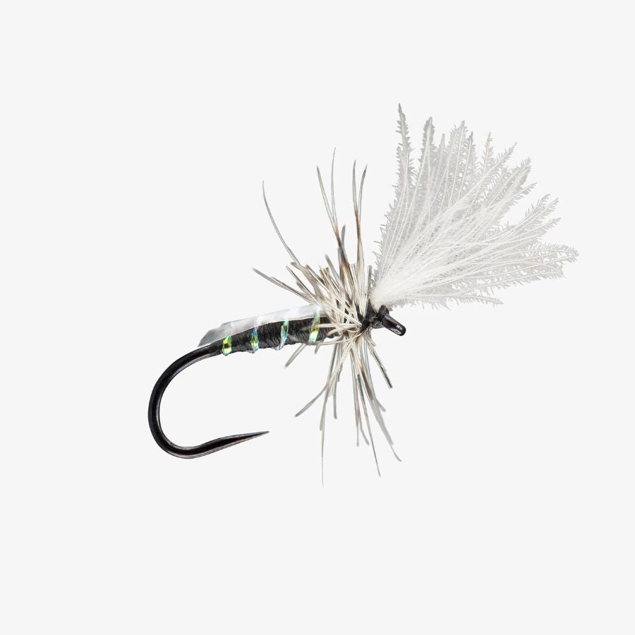 Slick Midge Adult - Black - Size 18