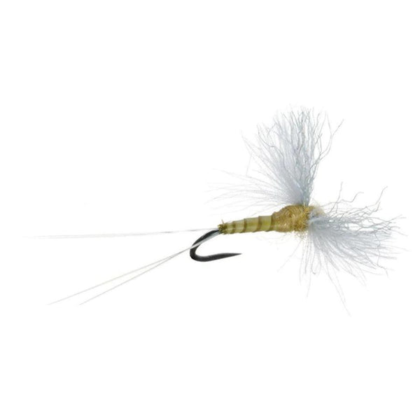 CDC Biot Spinner - Callibaetis - Size 16