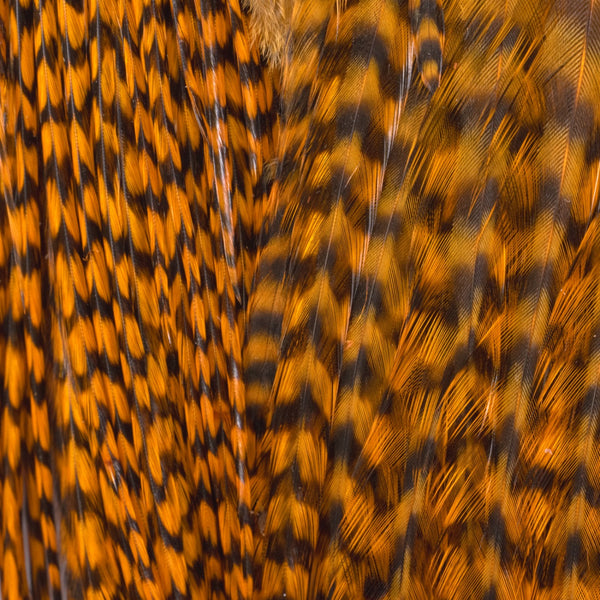 Whiting Farms Bugger Pack