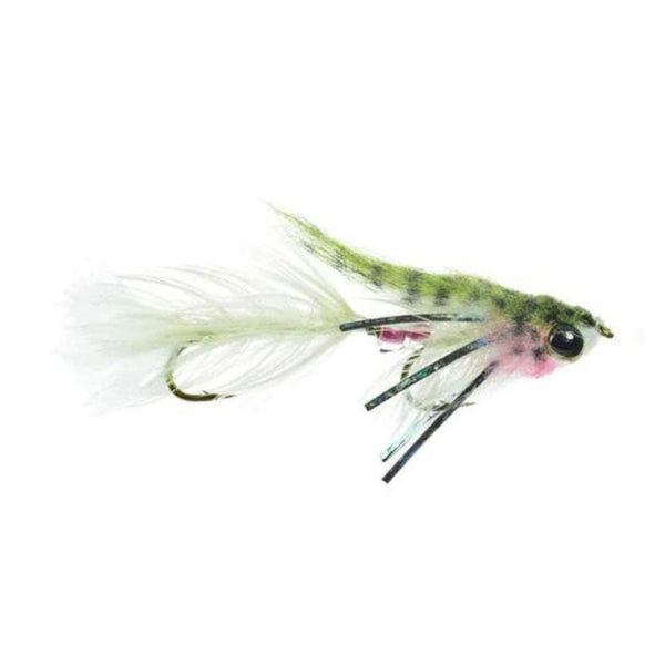 Baby Gonga - Size 8