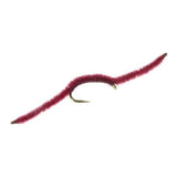 San Juan Worm - Wine - Size 10