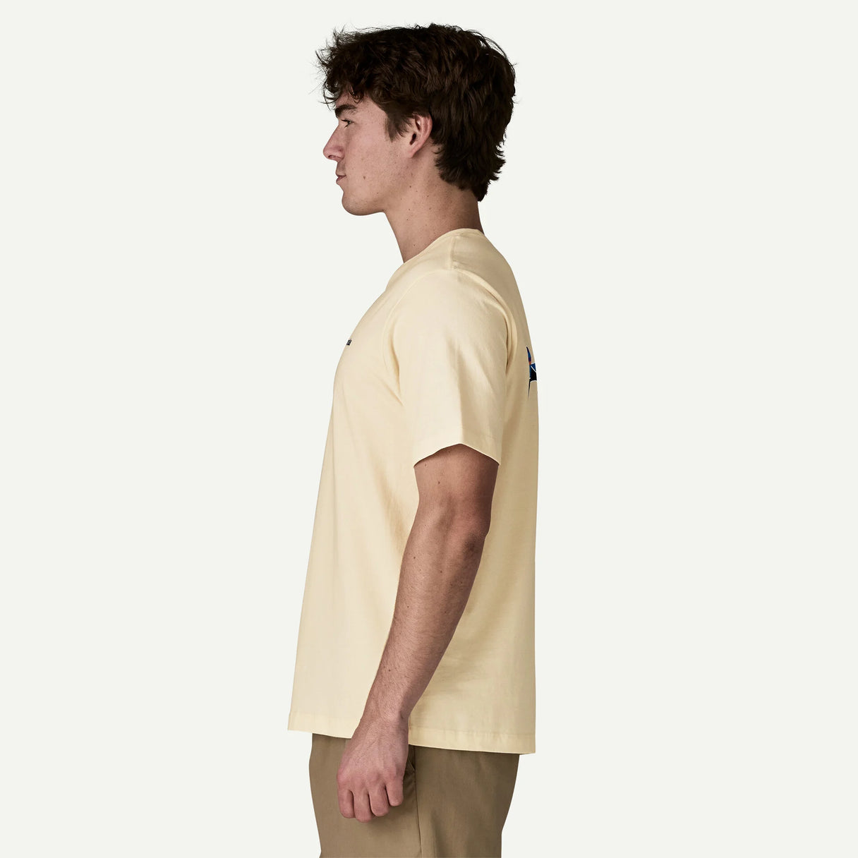 Patagonia Men's Fitz Roy Trout T-Shirt