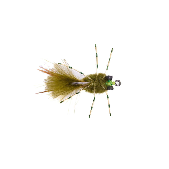 Rag Head Crab